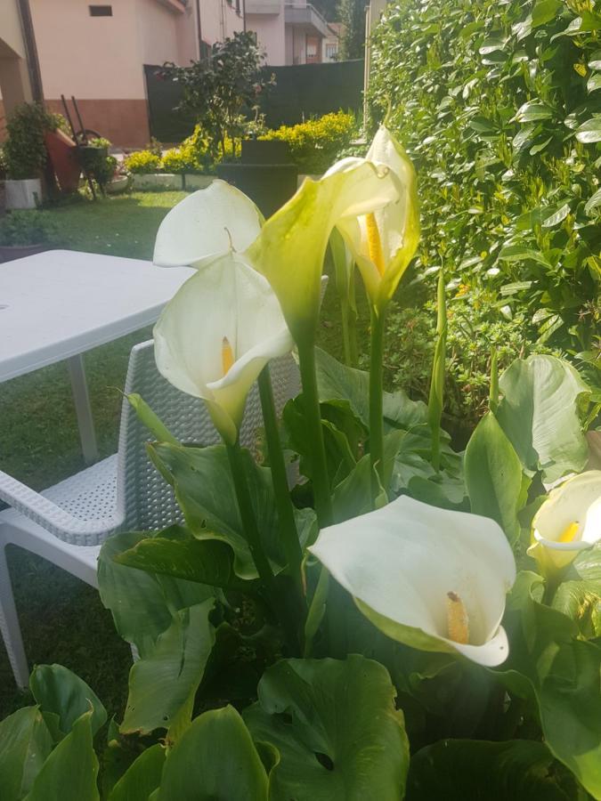 B&B La Damigiana Fioi Piano di Follo Zewnętrze zdjęcie