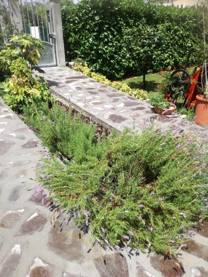 B&B La Damigiana Fioi Piano di Follo Zewnętrze zdjęcie