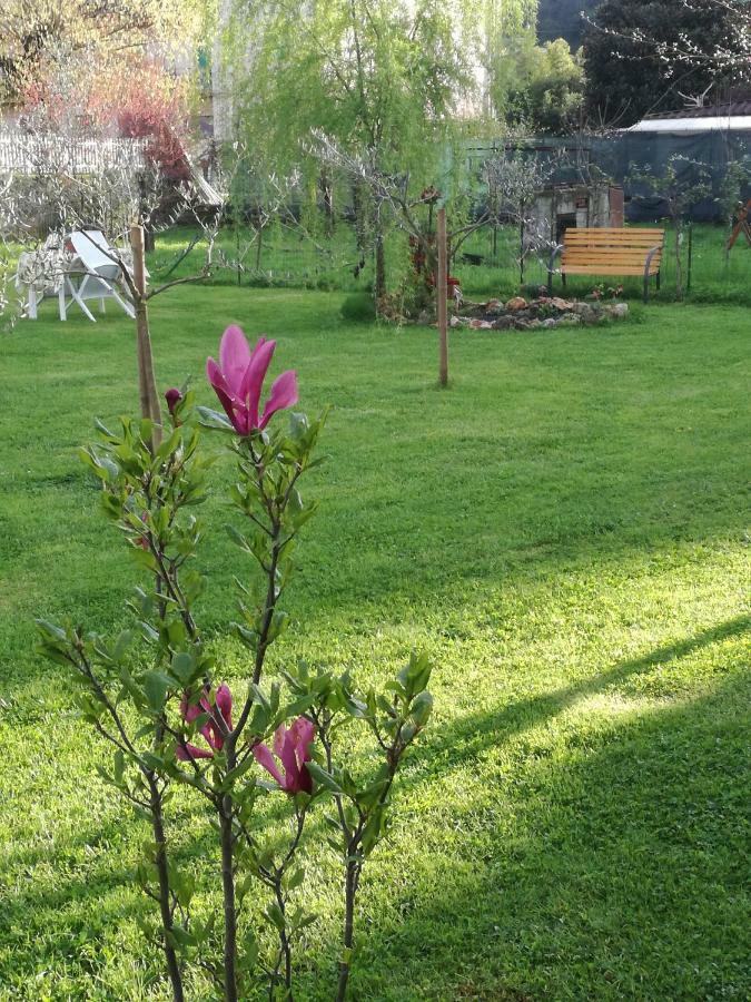 B&B La Damigiana Fioi Piano di Follo Zewnętrze zdjęcie