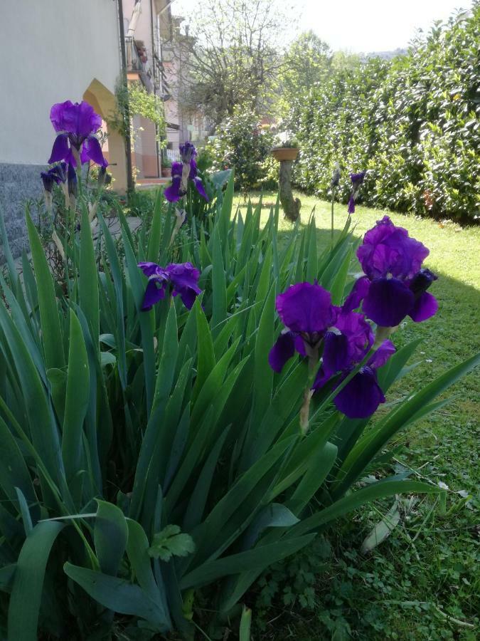 B&B La Damigiana Fioi Piano di Follo Zewnętrze zdjęcie