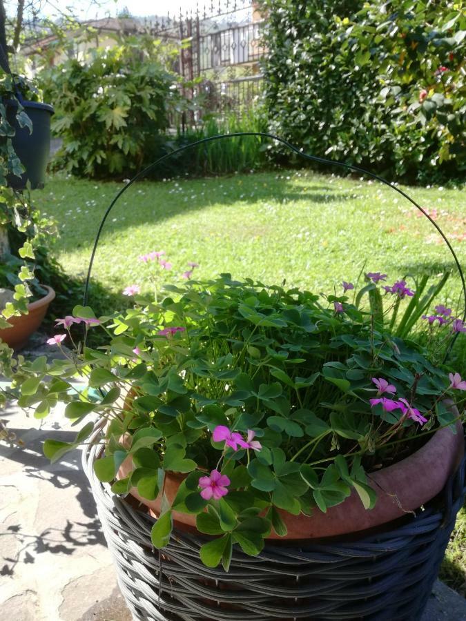 B&B La Damigiana Fioi Piano di Follo Zewnętrze zdjęcie