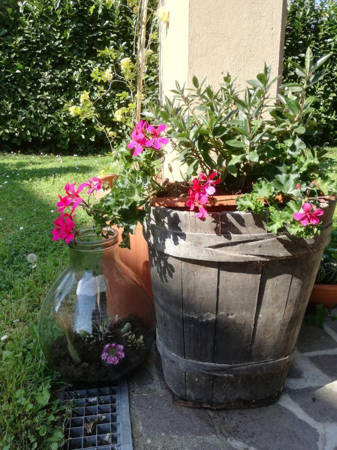 B&B La Damigiana Fioi Piano di Follo Zewnętrze zdjęcie
