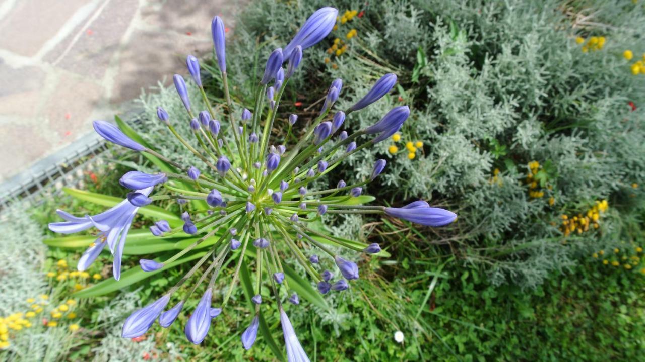 B&B La Damigiana Fioi Piano di Follo Zewnętrze zdjęcie