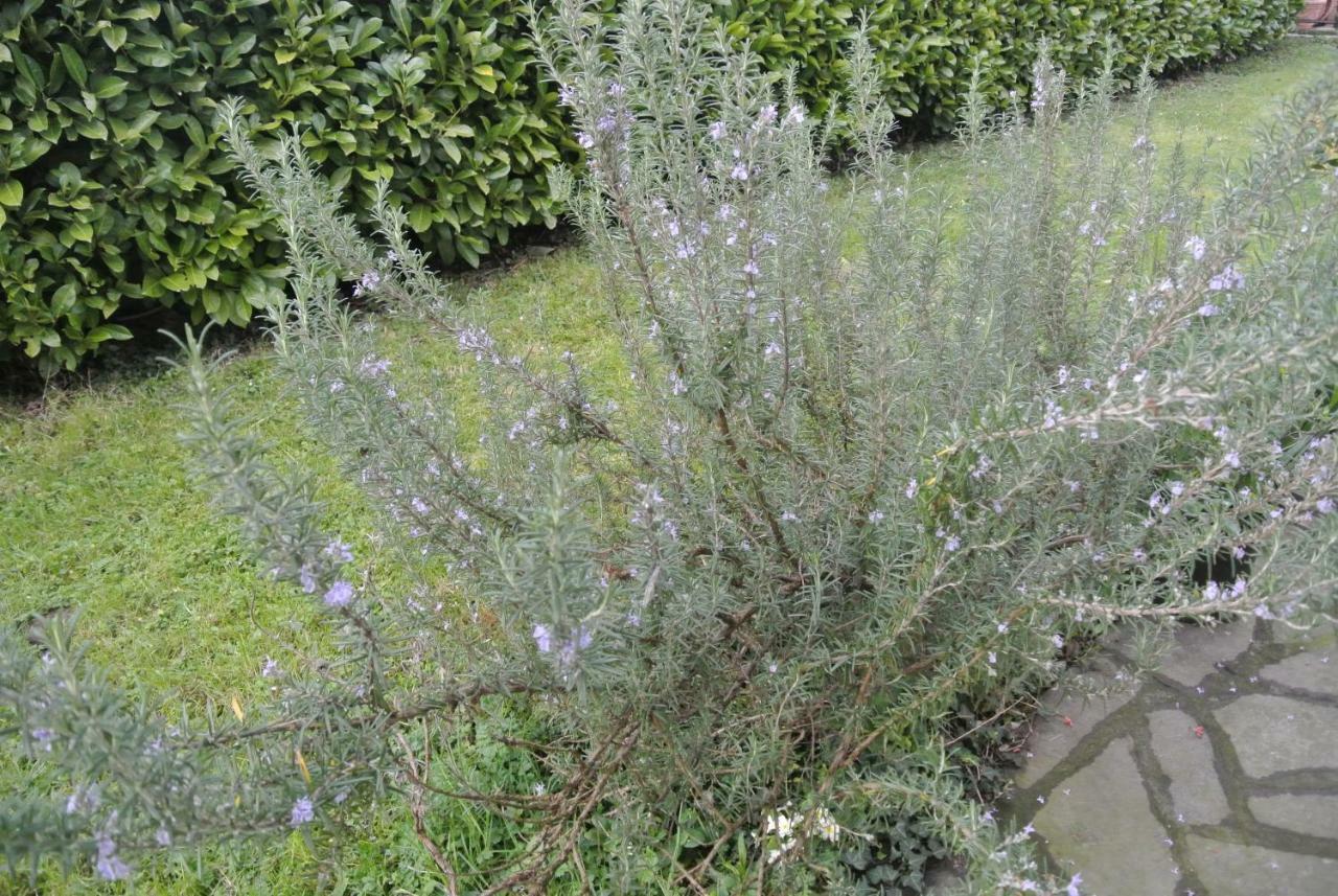 B&B La Damigiana Fioi Piano di Follo Zewnętrze zdjęcie